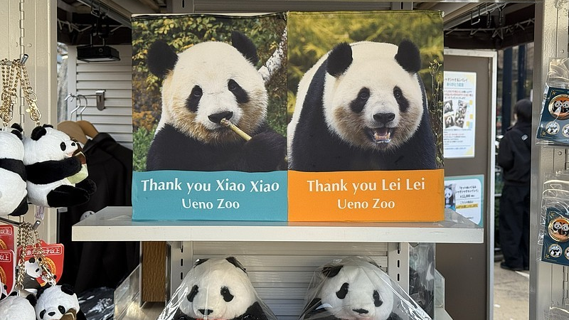 大熊猫“晓晓”和“蕾蕾”将于27日从日本启程回国