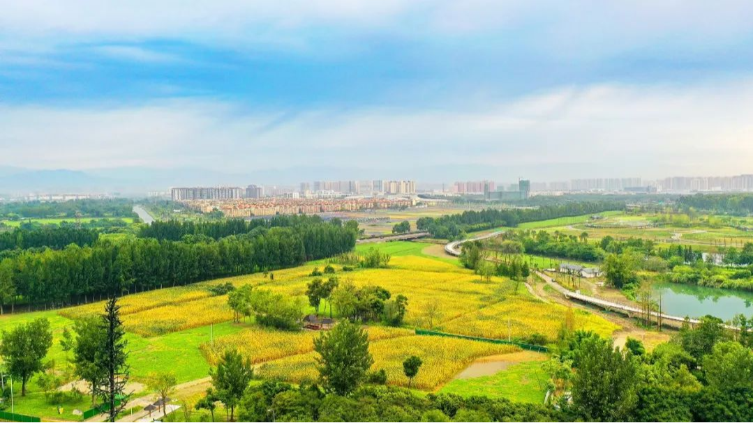 成都市大邑县入选！生态环境部发布第一批23个美丽乡村先行区名单