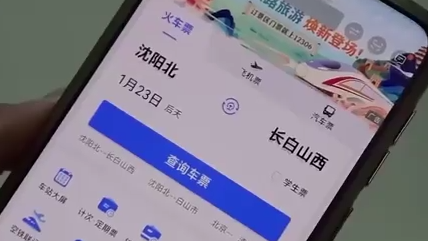 购票页面有“暗号” 春运买票看懂12306关键字