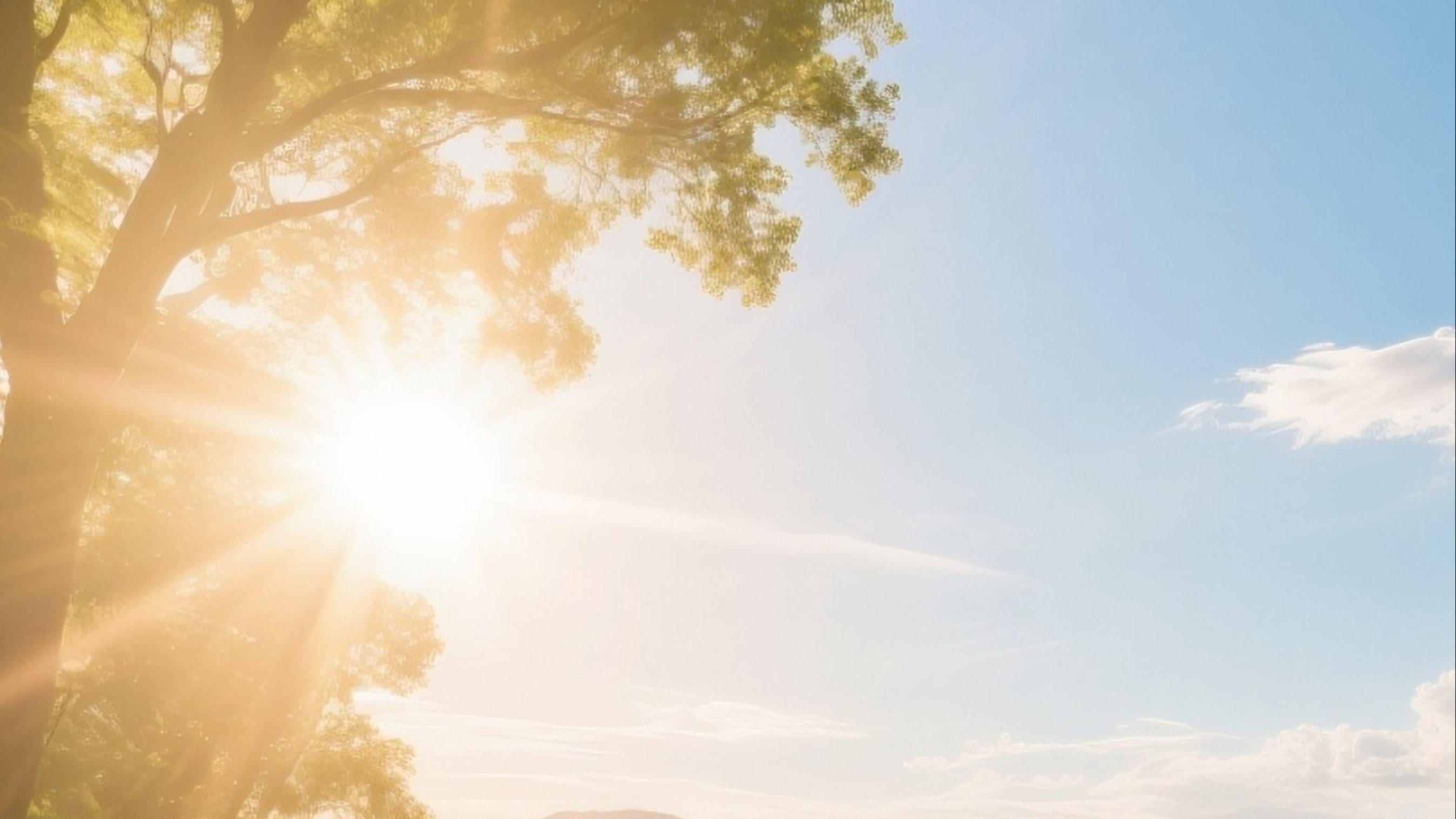 最高升至16℃！成都气温回暖 收好这份“洋葱式”穿搭攻略