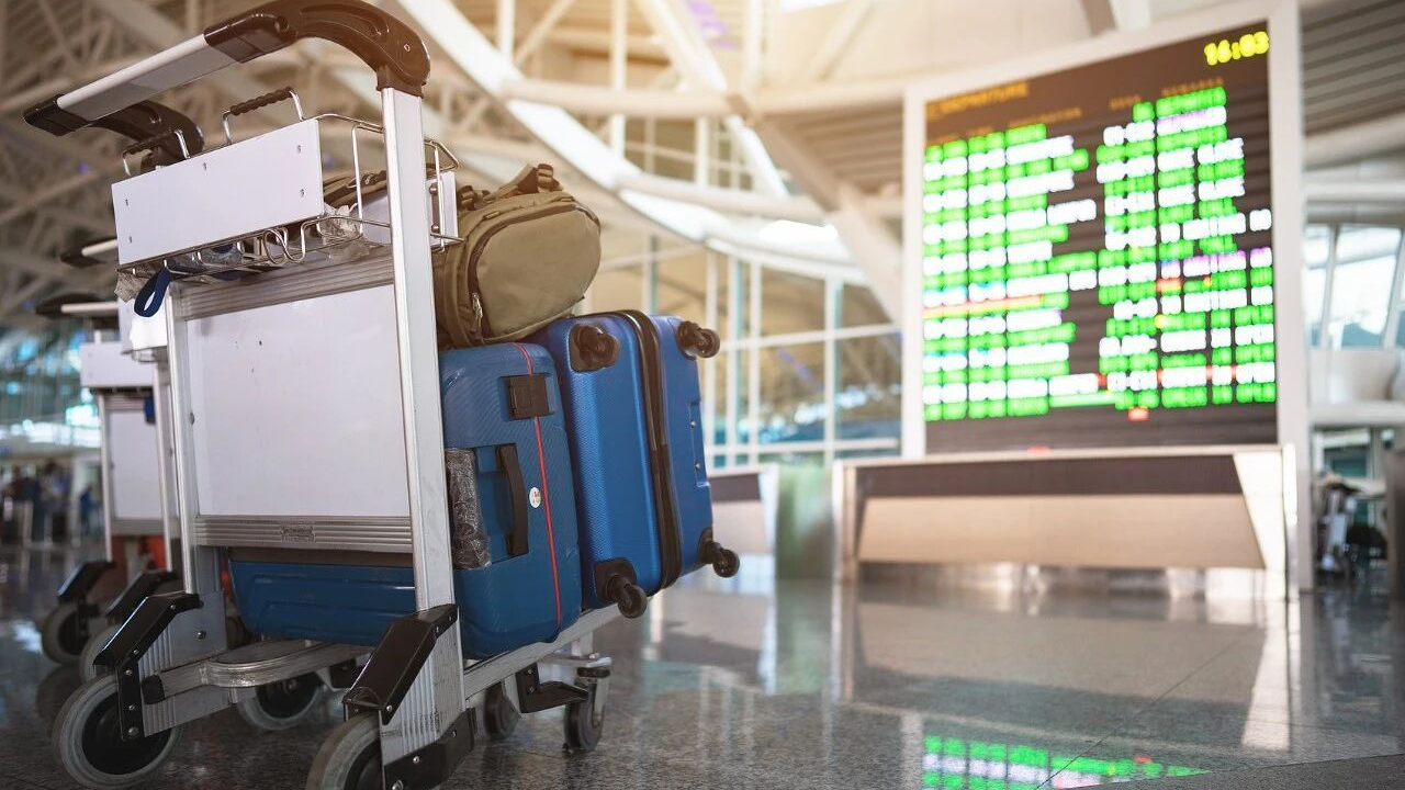 寒假来临，这份安全指南请签收