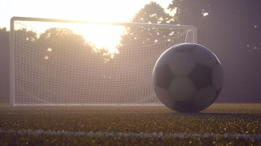 整治足球“假赌黑” 13家俱乐部被罚 陈戌源李铁等73人被终身禁“足”