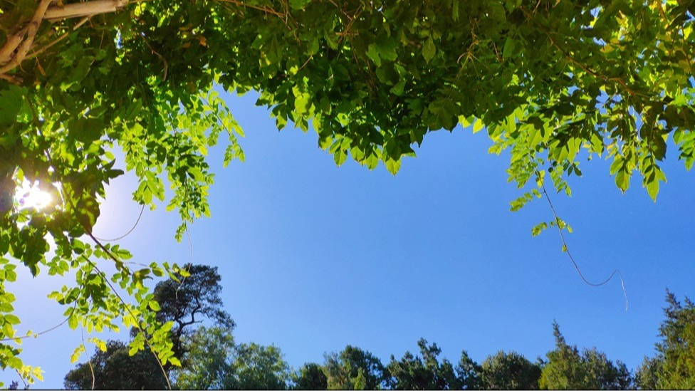 未来三天我国多地进入“升温模式” 天气干燥需注意补水润燥