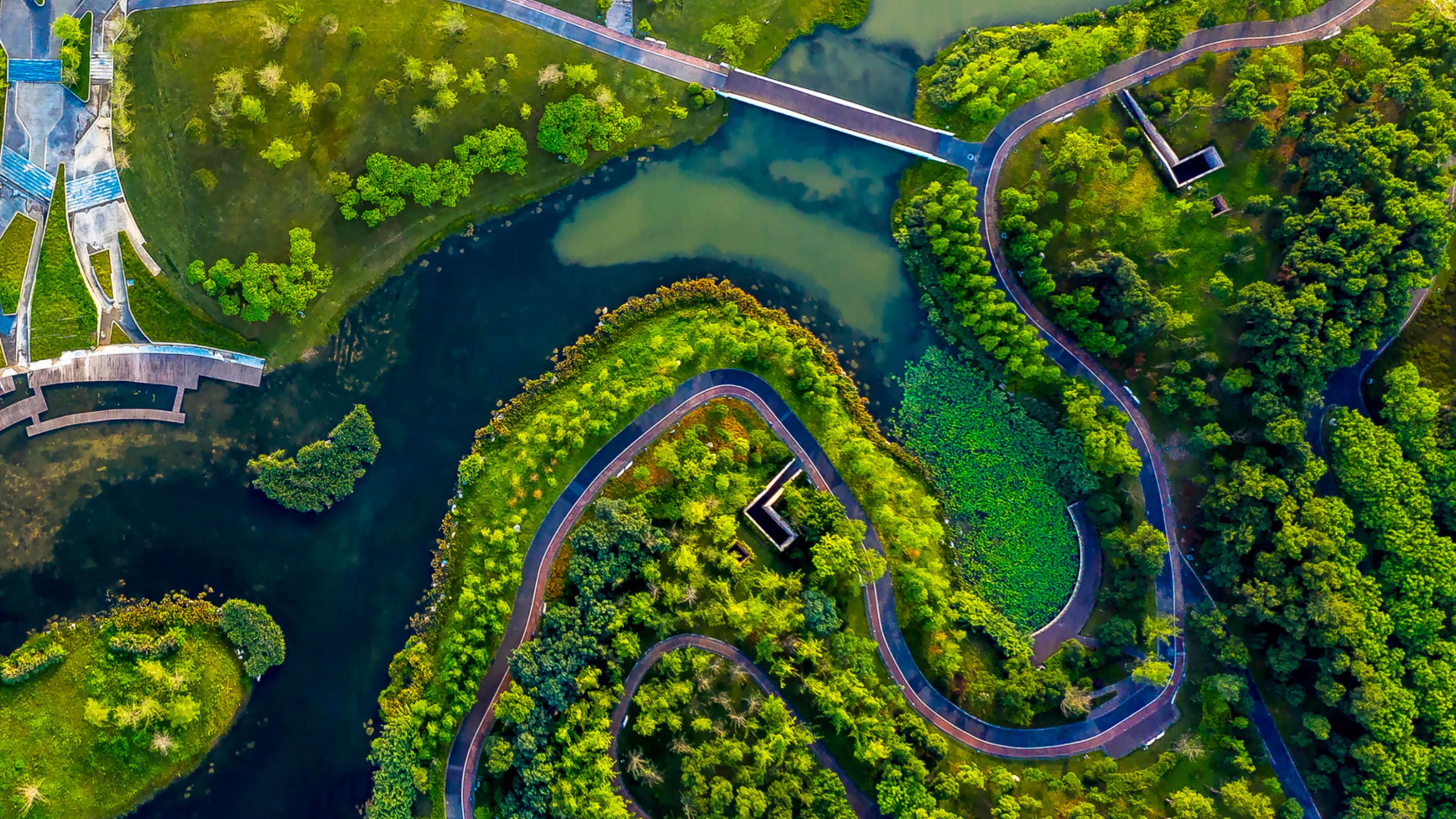 我国湿地面积居亚洲第一、世界第四