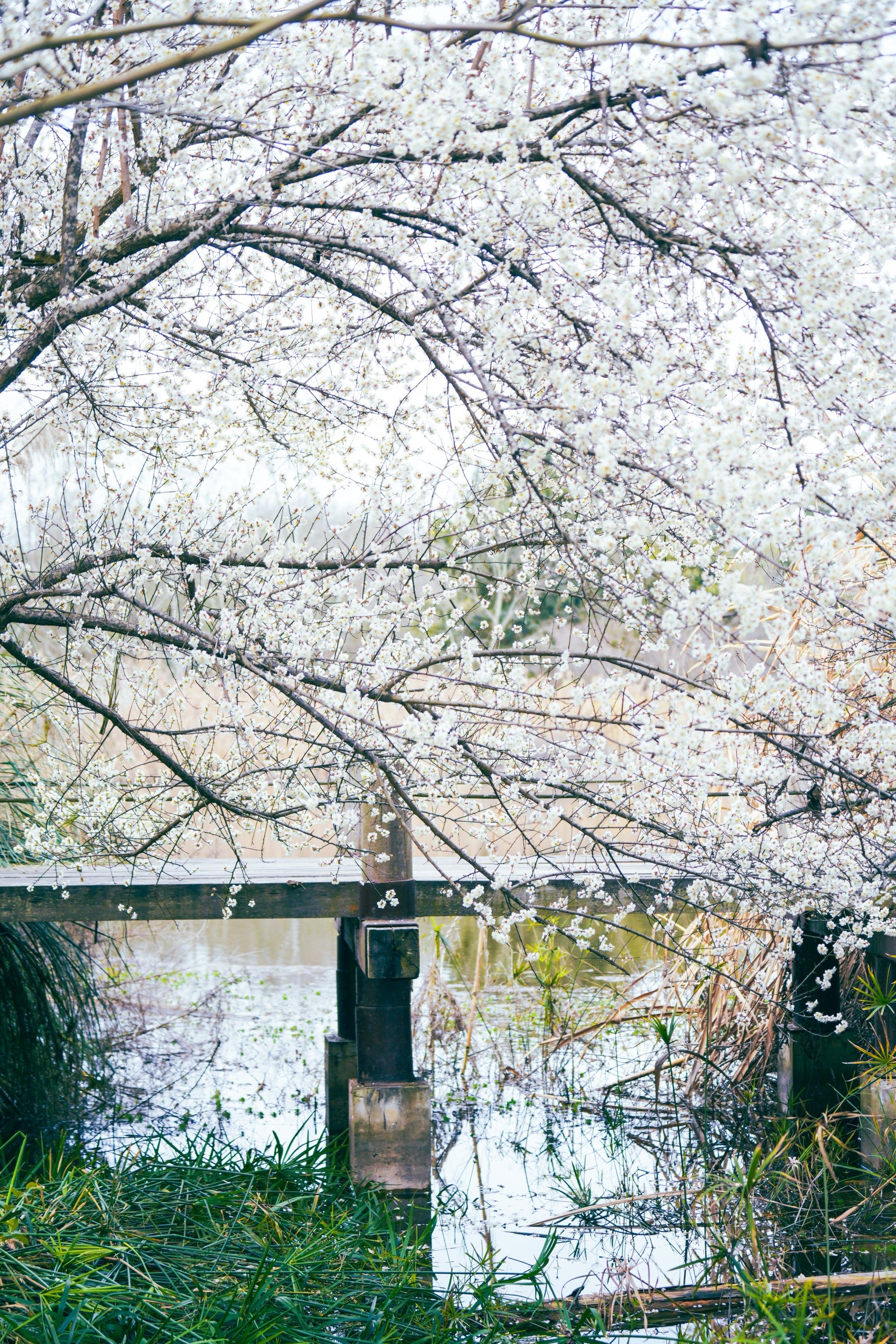 fCqk7HKDrmyBjS3GACs3bIn8PcmUHfbtSpEWfCjh1jbmCHNL36KrjfmGKm7o_t8T (1).jpg