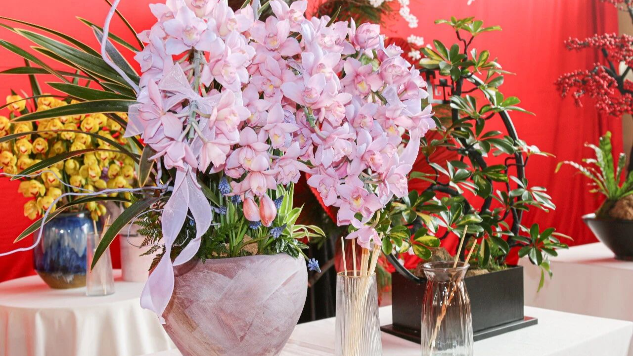 寻找花香中的年味！成都第三届年宵花节今日启幕，打卡指南请收好→