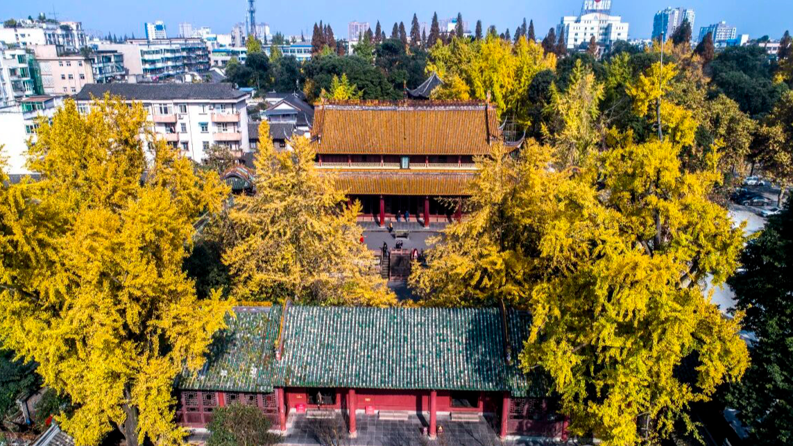 别跑空！崇州罨画池博物馆2月9日临时闭馆，次日正常开放