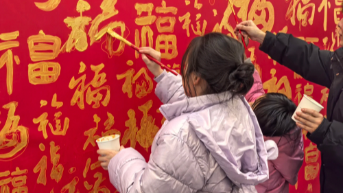 福启玉林，好运加“马”！武侯新春消费季·2026玉林心愿庙会暖心启幕