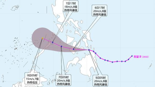 台风“西望洋”已在菲律宾登陆 继续向偏西方向移动