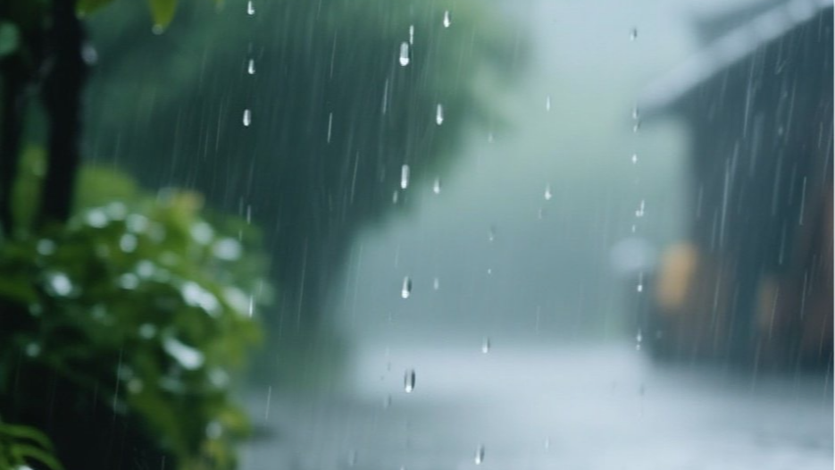 厚衣服别收！冷空气来袭 成都最高气温下降8℃并伴有大风小雨