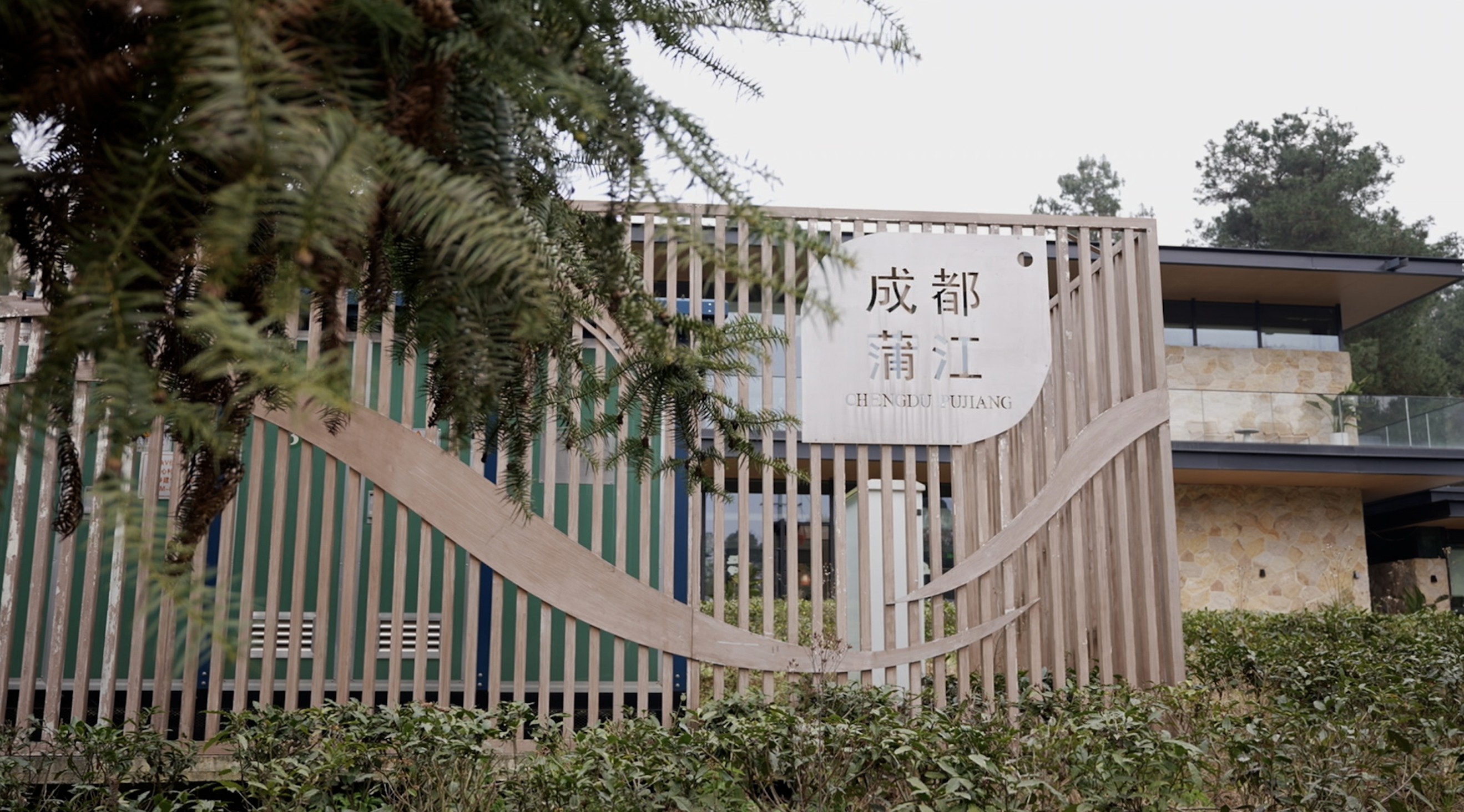 新春走基层⑤｜田园+科创 打造蒲江“数字桃花源”