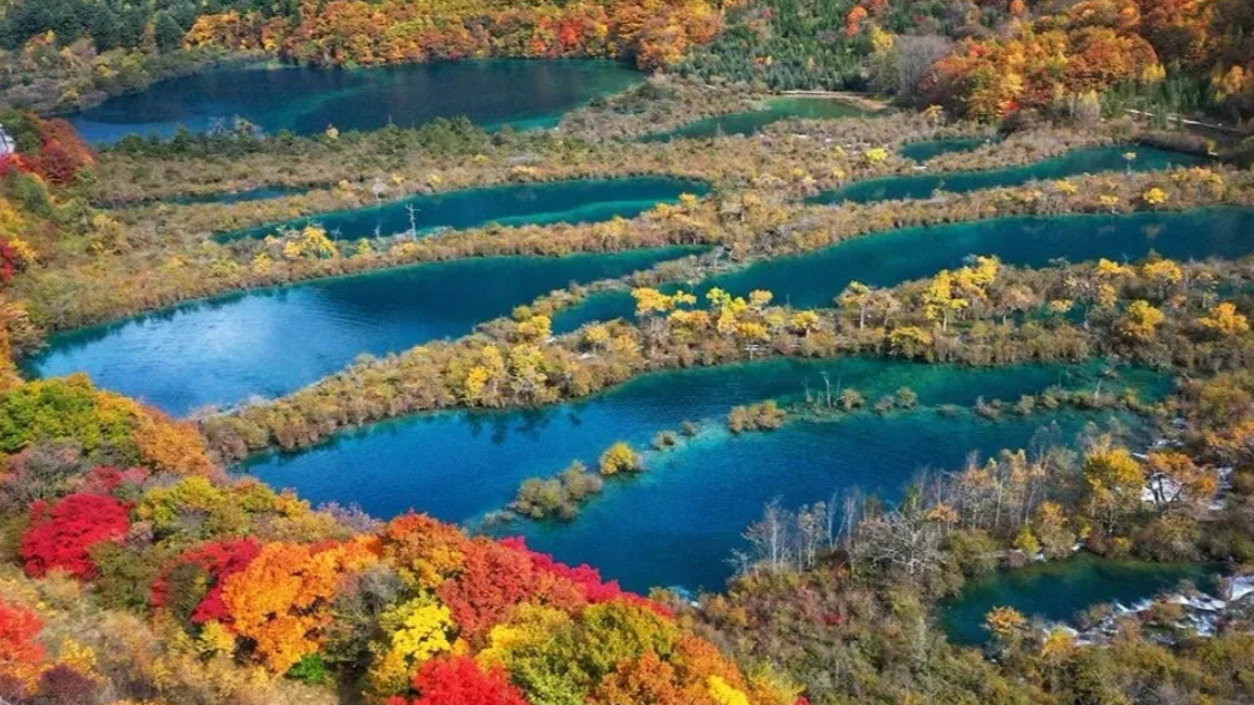 在九寨黄龙，翻阅地球的“活态档案”