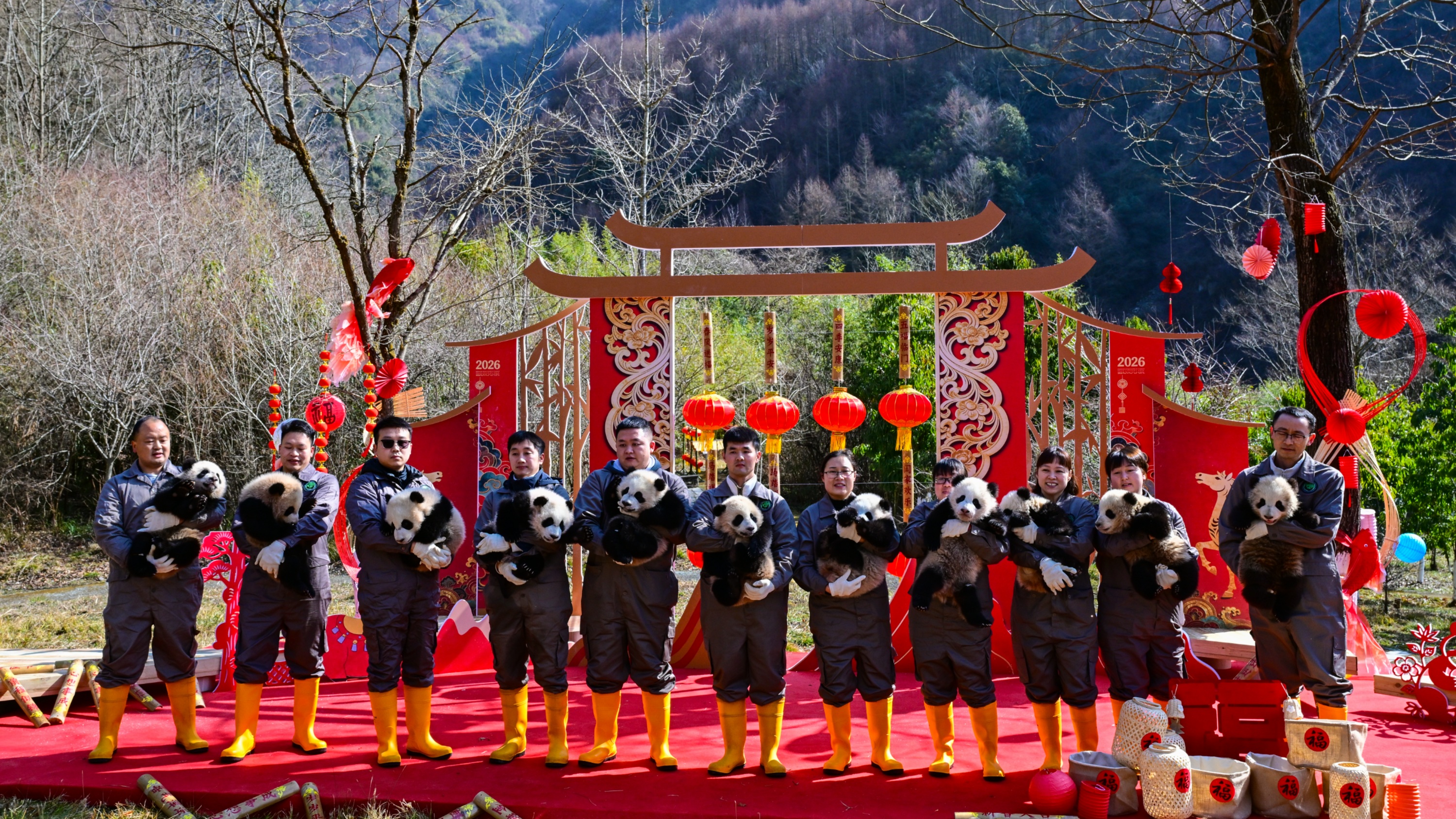  “萌团”拜大年！30只2025级新生熊猫宝宝集体亮相送祝福