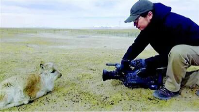 别只追《生命树》！它震撼灵魂的原型，藏在成都广电这部豆瓣9.5分的《平衡》里