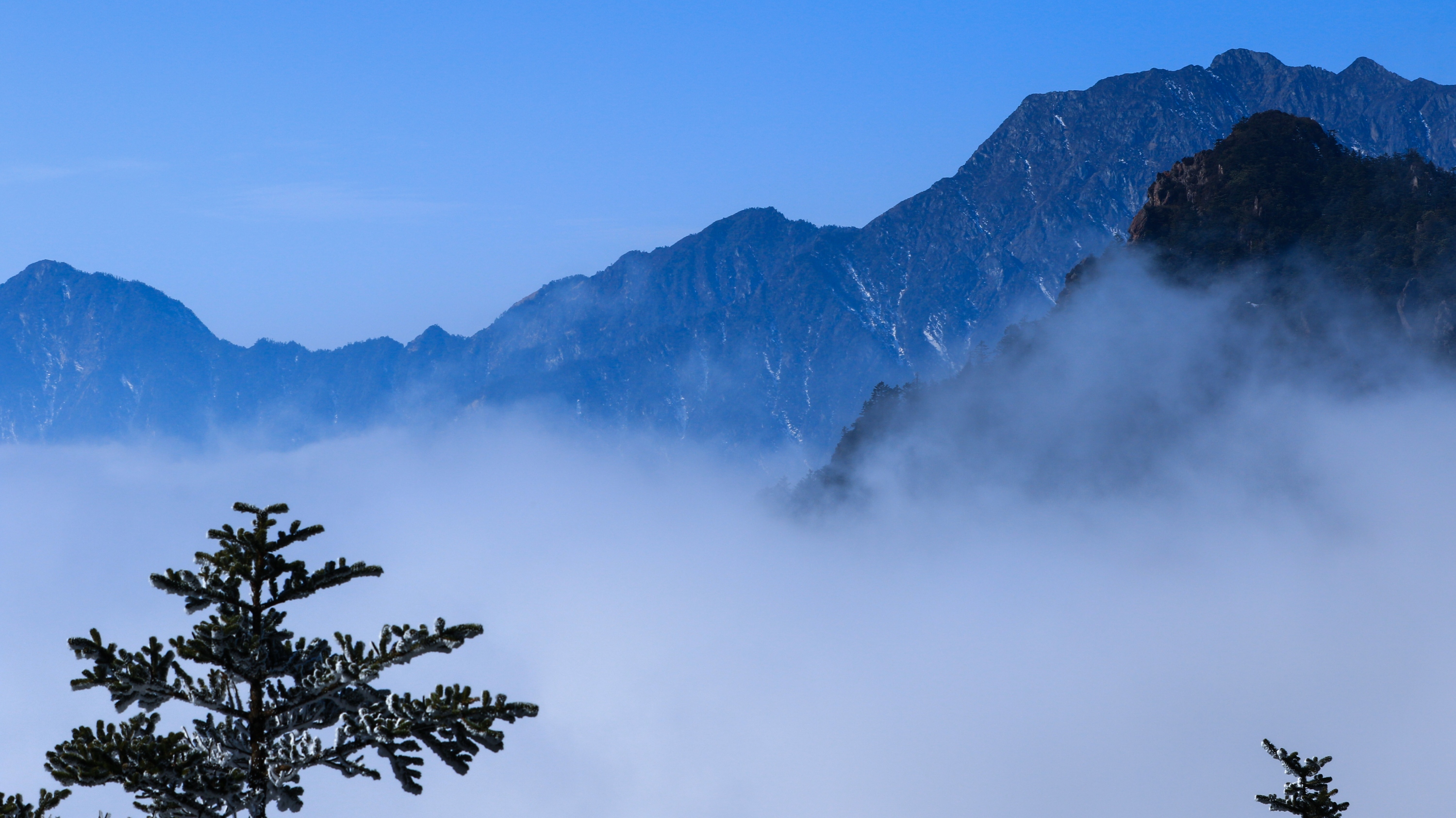四川文旅行业发布“最严护客动员令”