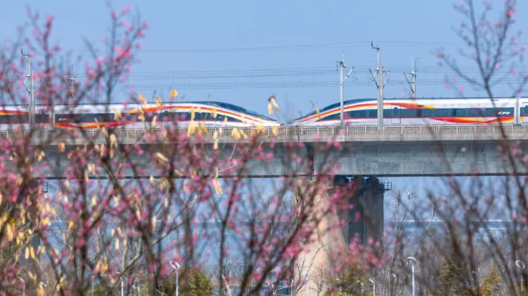 铁路12306已累计发售春运火车票超3.1亿张 这些方向余票充足