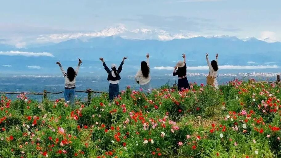 被问爆了！成都周边这几个宝藏地，走起！