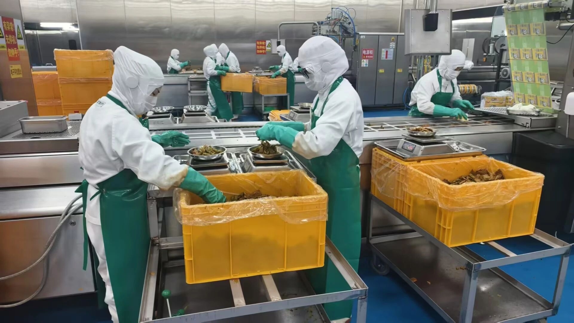 春节不打烊、节后即满产、抢抓海外单！成都新津企业生产“马”力全开