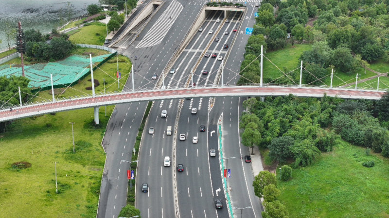 视频｜“瘦身”绿化带“挤出”新车道 成都科华南路通行改善明显