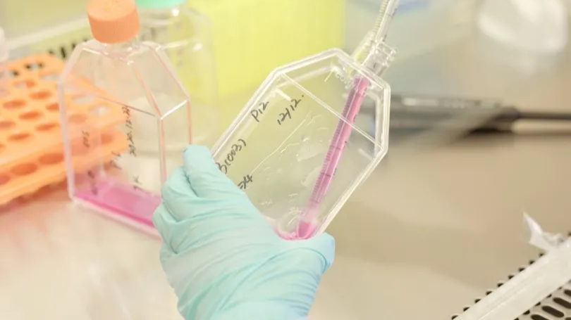 国内首个！这款“成都造”创新药进入二期临床阶段