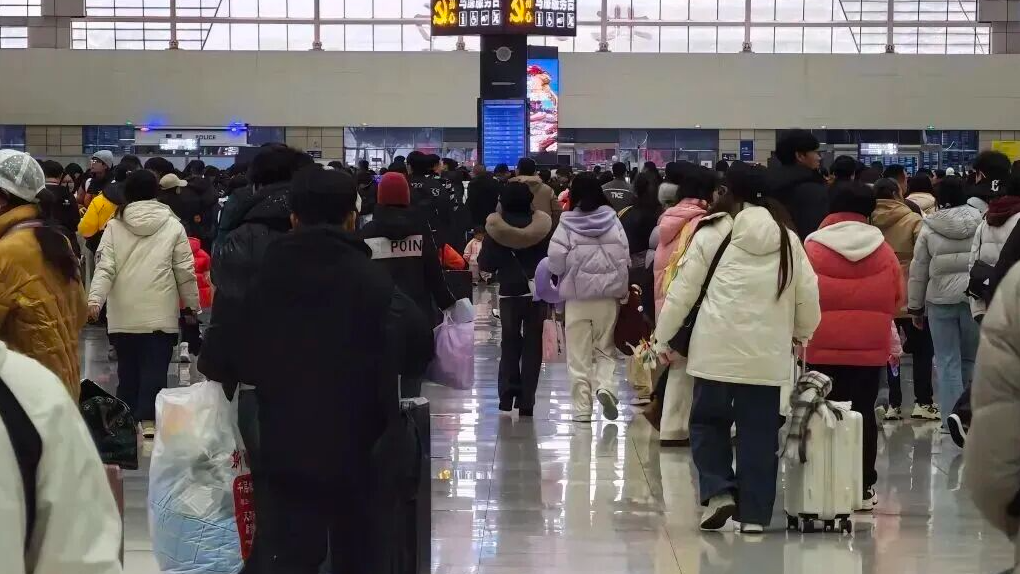 一组数据带你看 2026年四川交通企业春运“马”力值