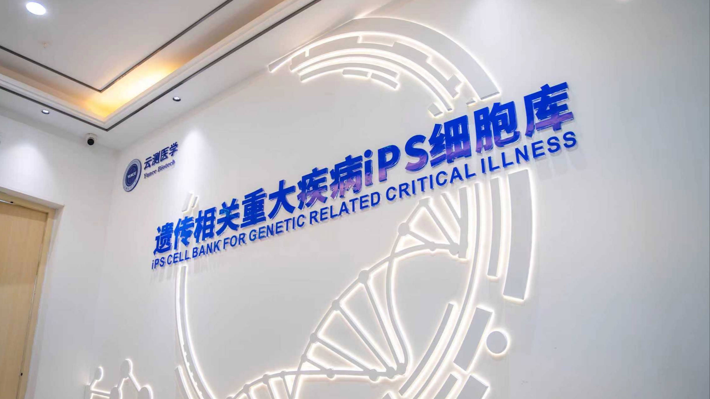 精准服务助科创！成都为这家干细胞企业送上知识产权“定制方案”