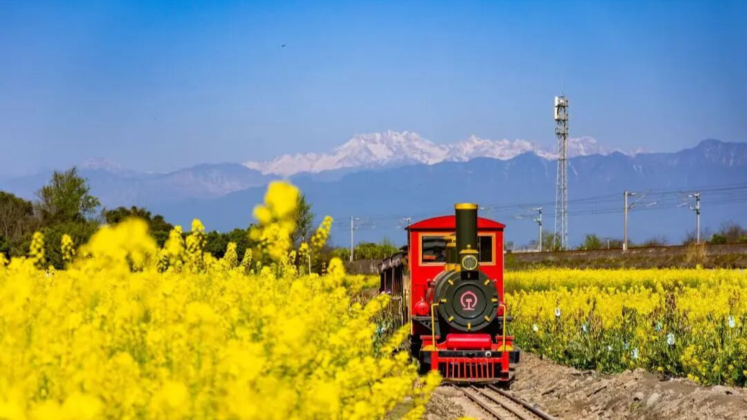 连放6天！成都首个春假必看这篇！