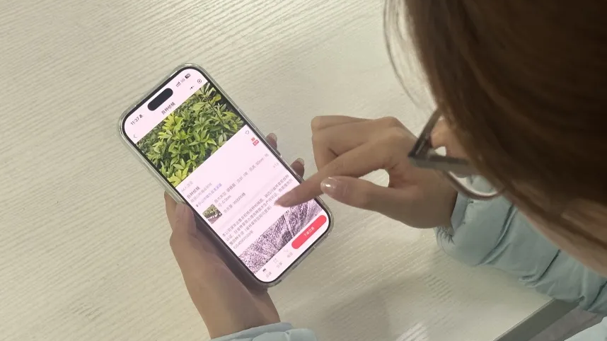 成都企业自研！全省首张种苗“数字身份证”上线，告别纸质标签