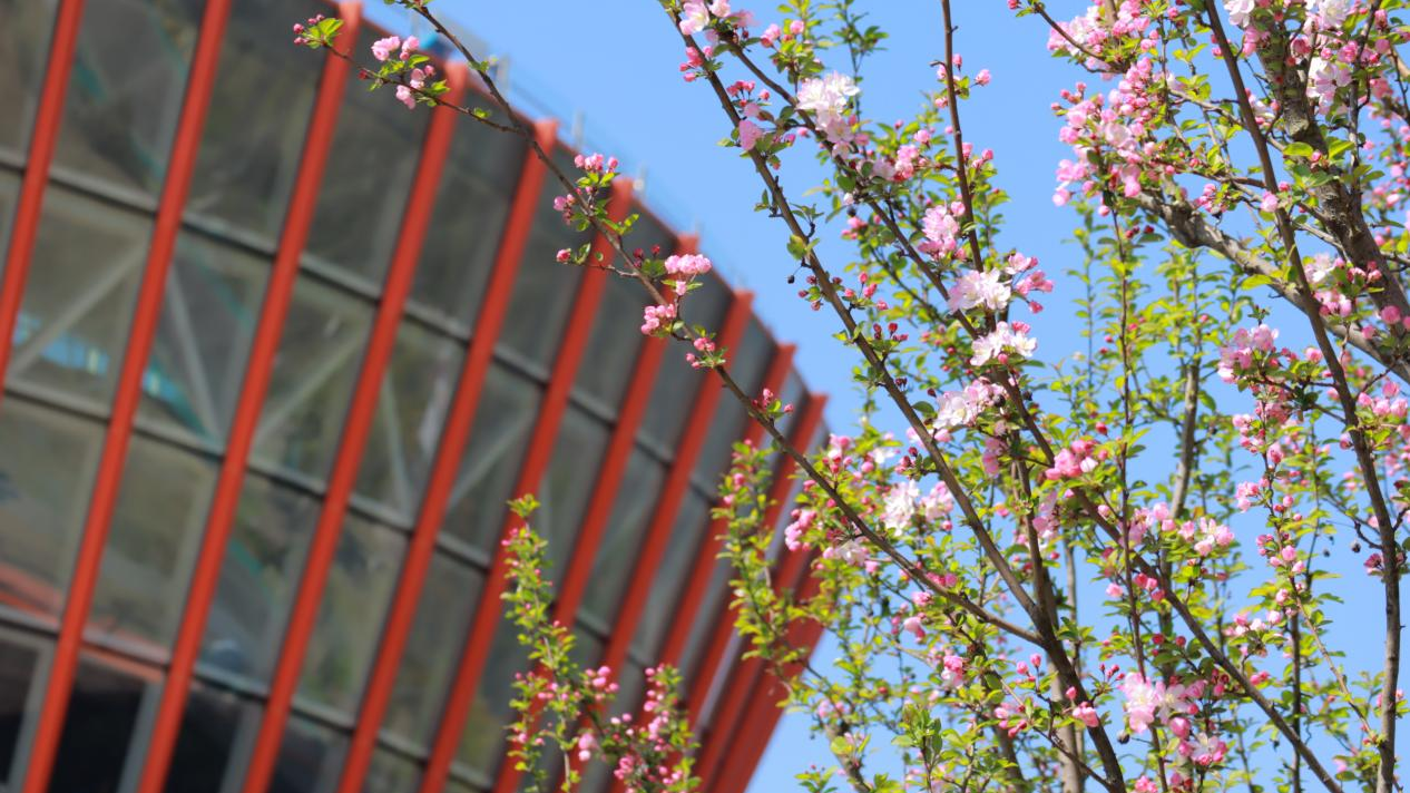 视频｜一路野趣一路花 天府3.2公里免费徒步线首发