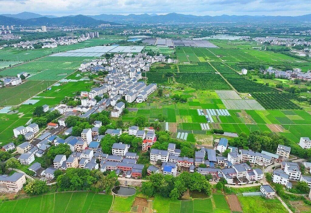 加快革命老区振兴发展 中办、国办重磅部署