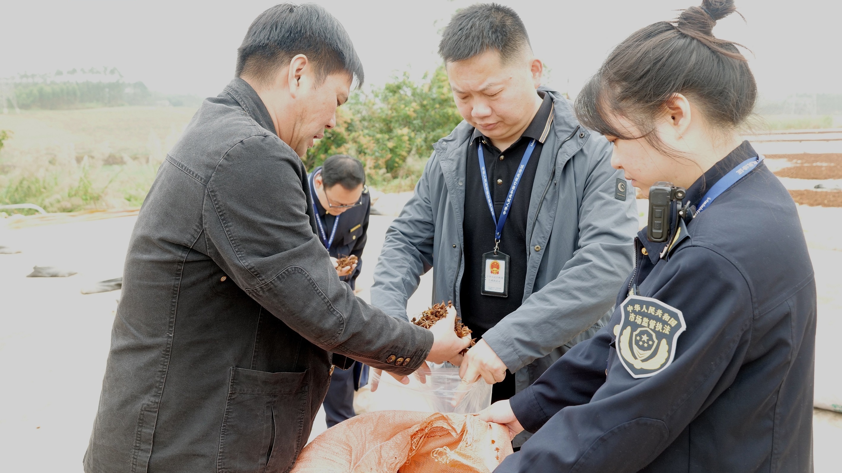 南宁调查处置“超硫八角”问题 广西全区紧急排查整治