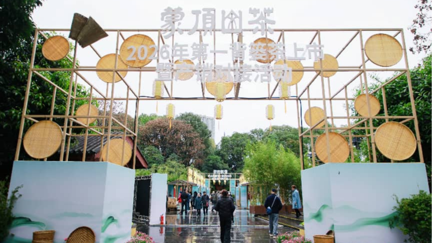 千年贡茶“敲”开蓉城生活之门 蒙顶山茶2026年第一背篓茶在蓉上市