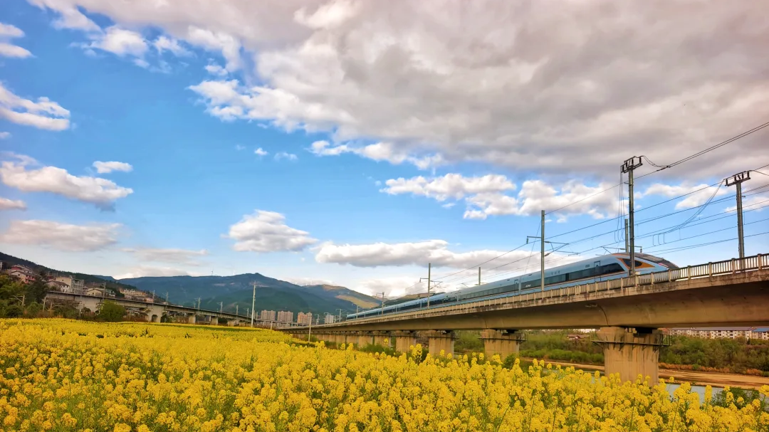 动车直达花海！国铁成都局加开54列“赏花专列”