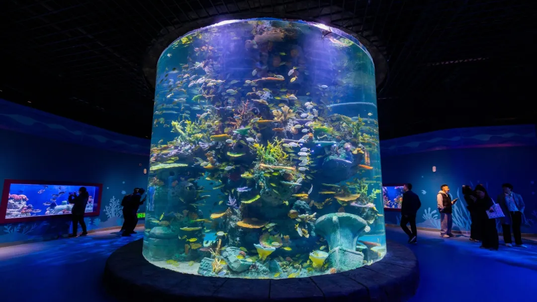 深海浪漫、古蜀底蕴、萌宠可爱…成都熊猫海洋公园今起试运营