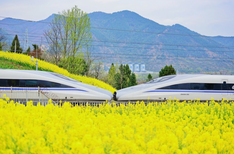 清明小长假火车票，今日开售
