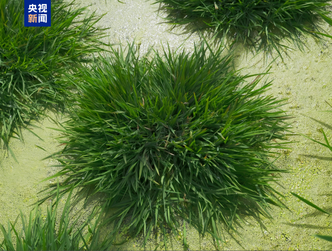 ecbb810d3c930e623abf26e453b6b24d.png ecbb810d3c930e623abf26e453b6b24d.png