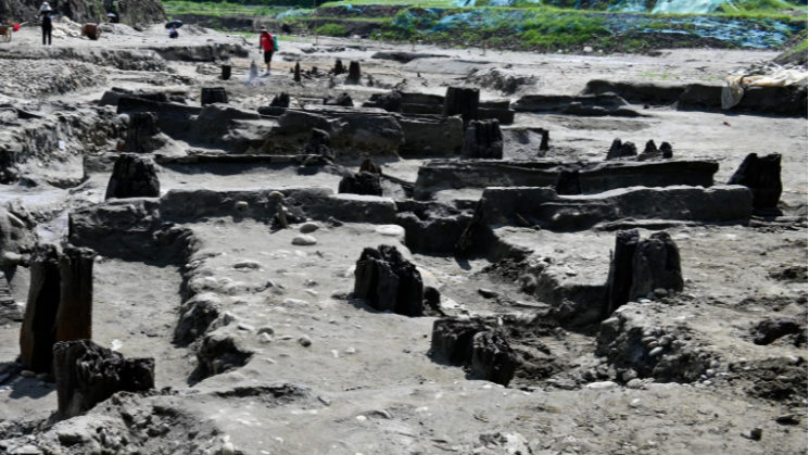 一起来认识，成都这些新晋“顶流”！
