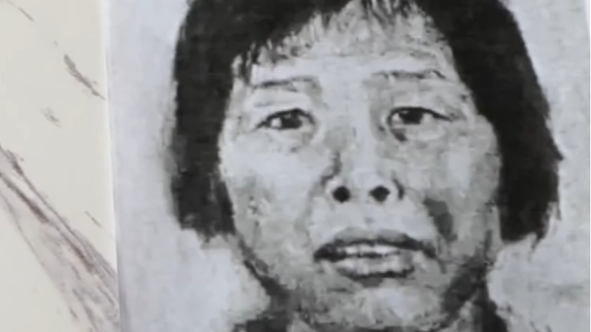 追踪23年“梅姨”落网背后：法网恢恢 疏而不漏