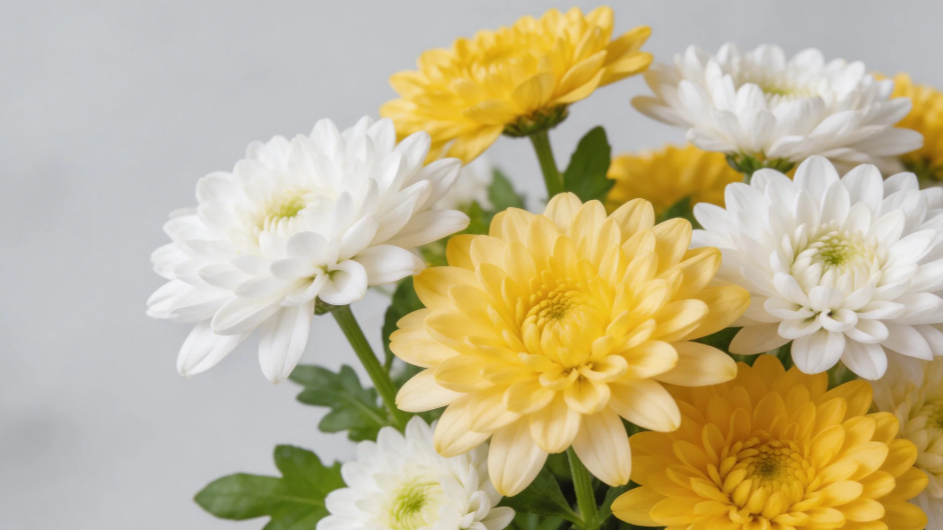 清明临近，四川133个公墓计划捐赠生态墓位4073个