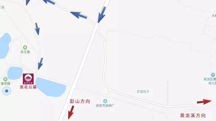 赏花、扫墓出行看这里！双流公安发布交通安全提示