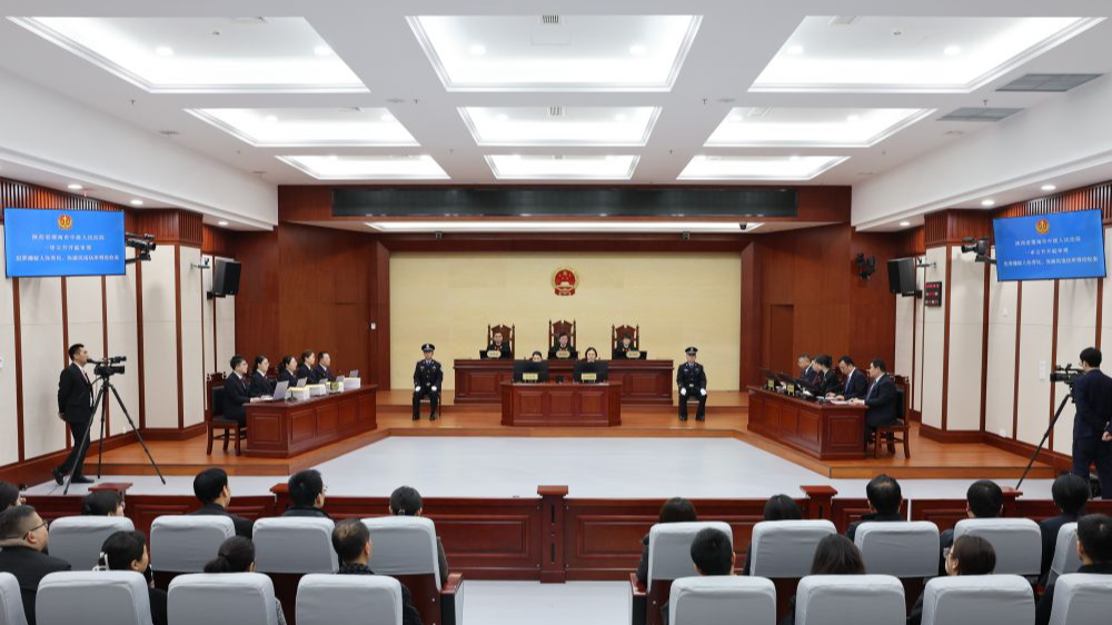 犯罪嫌疑人张青民贷款诈骗、张淑民洗钱违法所得没收案一审宣判