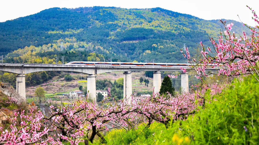 国铁成都局3款旅游计次票覆盖40个车站，新增天府机场等机场车站