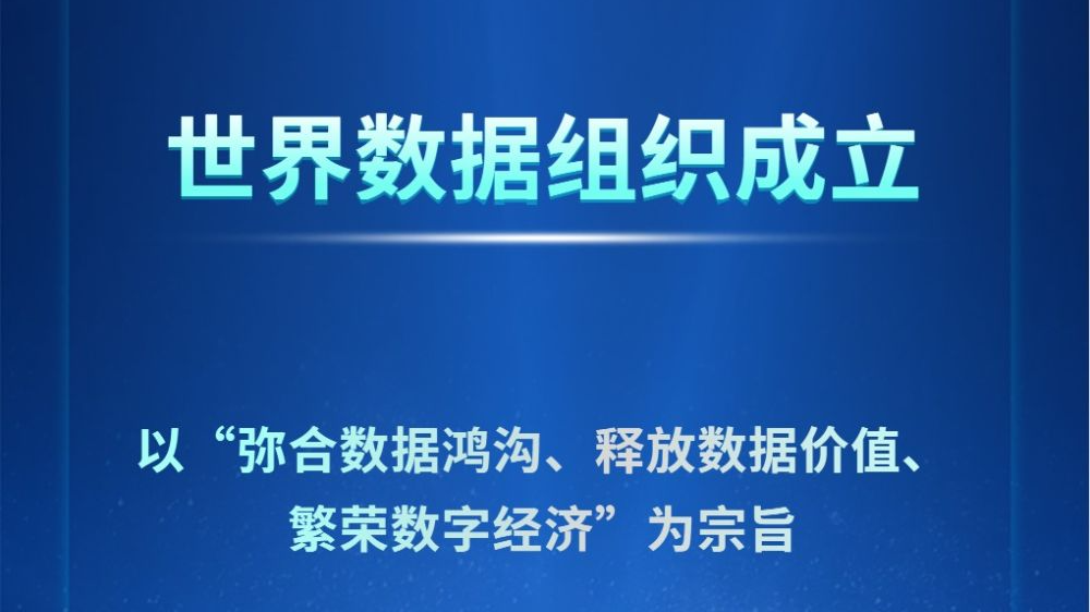 世界数据组织成立