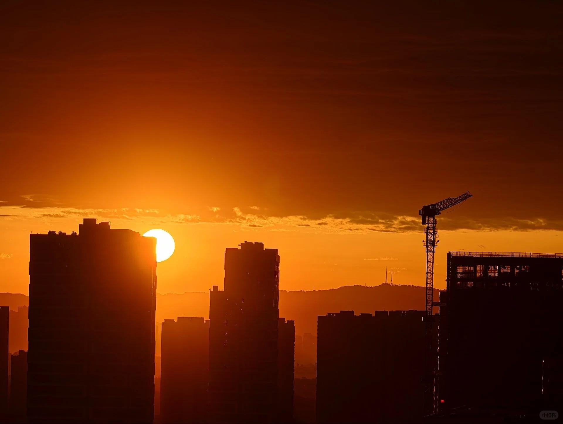 成都！！以防你没看到今日份朝霞！！3.30_Rickey Harry_来自小红书网页版.jpg