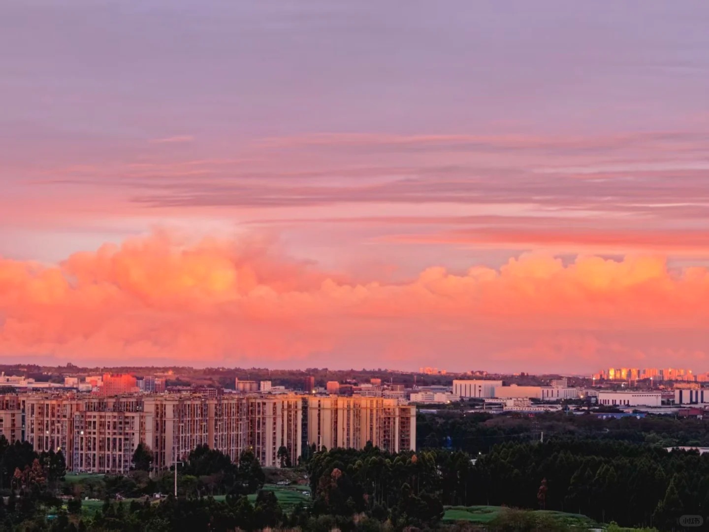 成都！！以防你没看到今日份朝霞！！3.30_3_抱着彩虹的芋头_来自小红书网页版.jpg