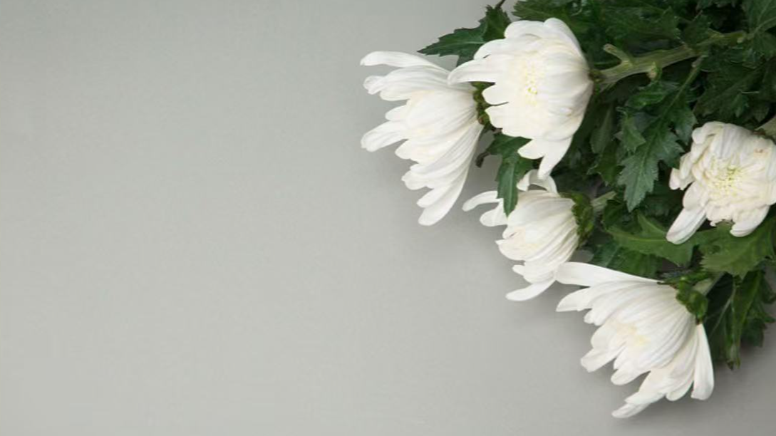 全国殡葬服务机构收费实现网络集中公示