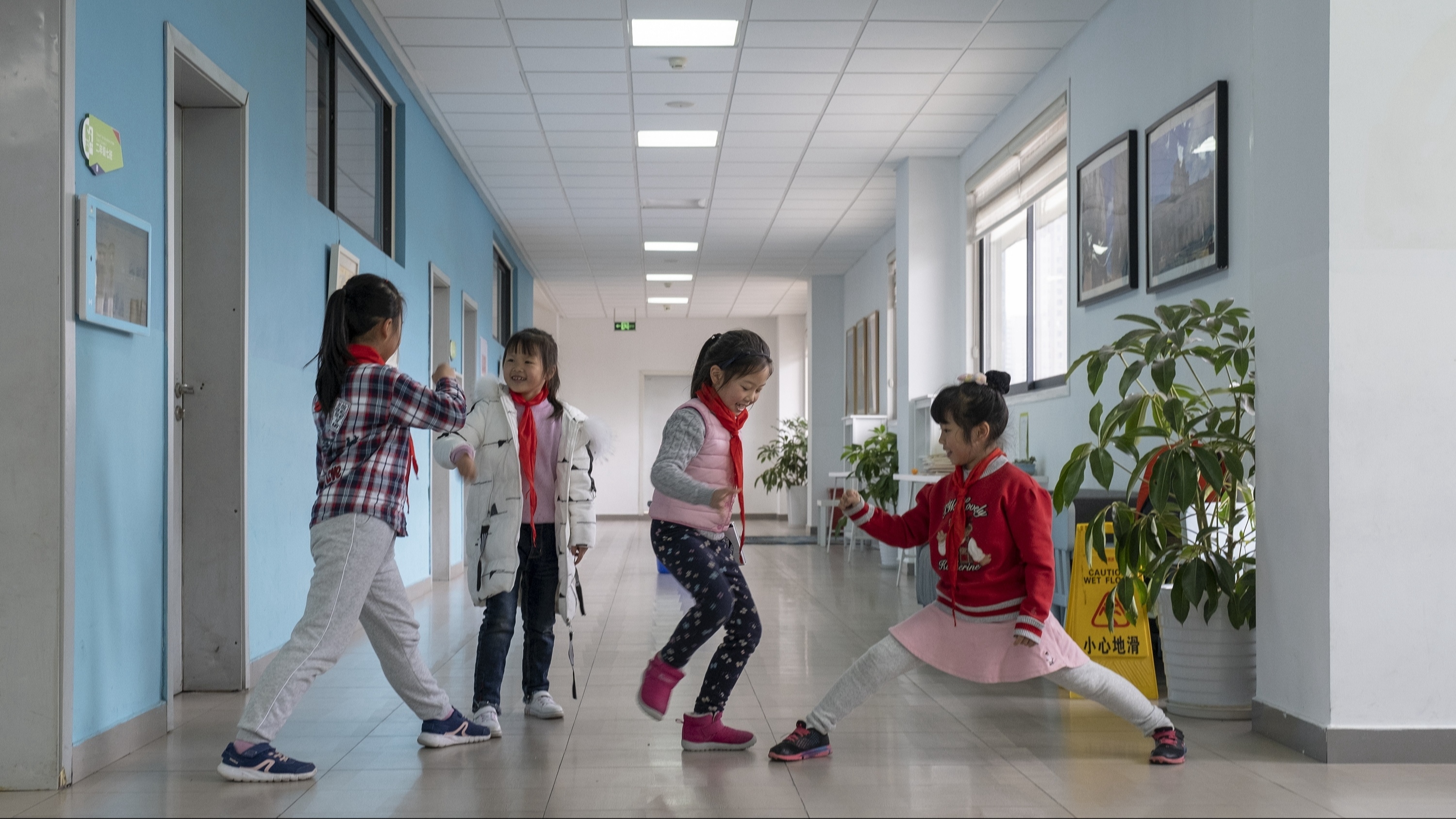 成都23个区（市）县的小一、小升初入学安排来啦