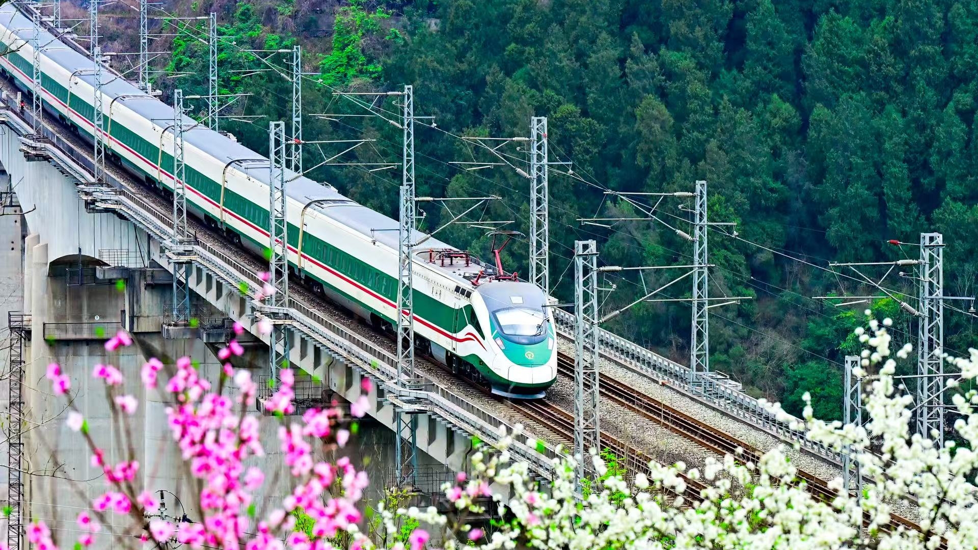 春假清明双假叠加 国铁成都局预计开行旅客列车2211列