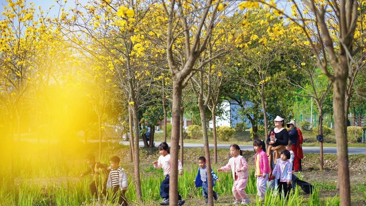 时评｜成都春假“热”，让教育走出课堂，让成长融入春光