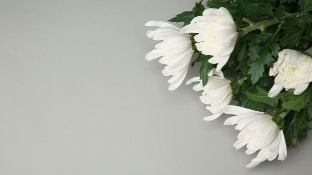 殡葬领域6项行业标准出台，4月5日起实施